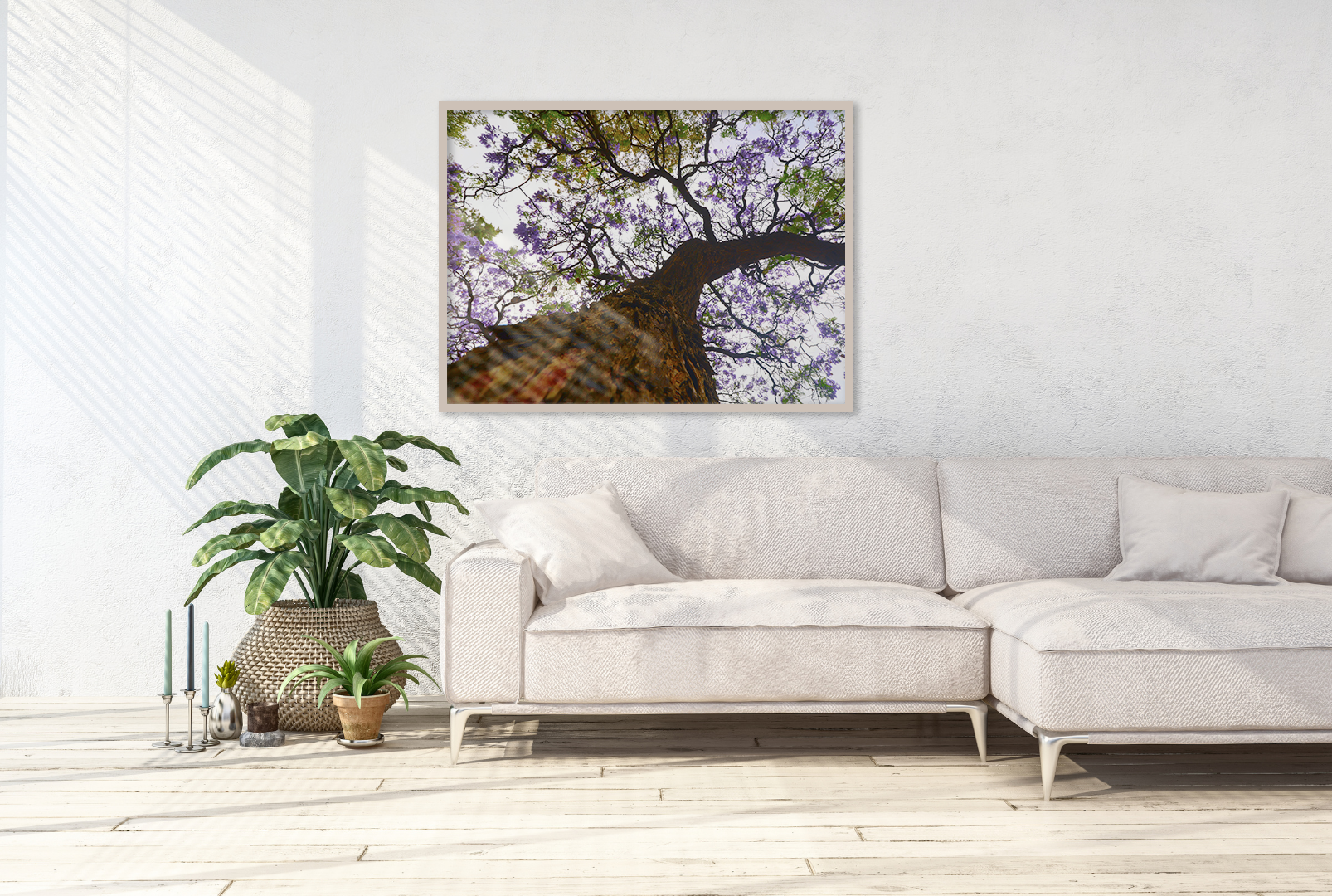 Jacaranda Beauty original abstract contextualised office art modern decor photo print by Blair Montague Drake